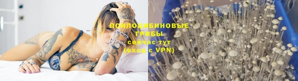 каннабис Армянск