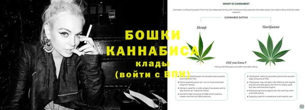 mdpv Арсеньев
